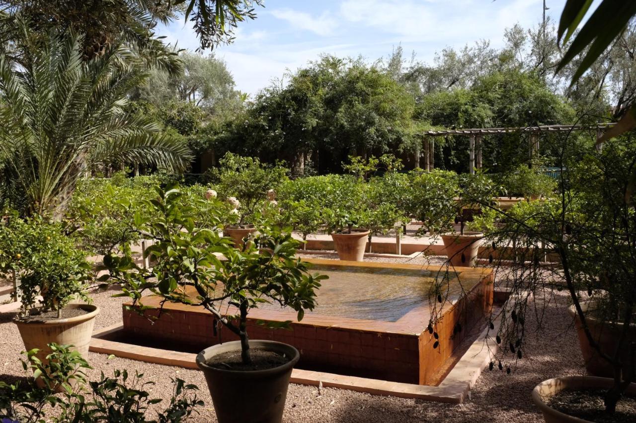 Riad Tazzori Marrakesh Exteriör bild